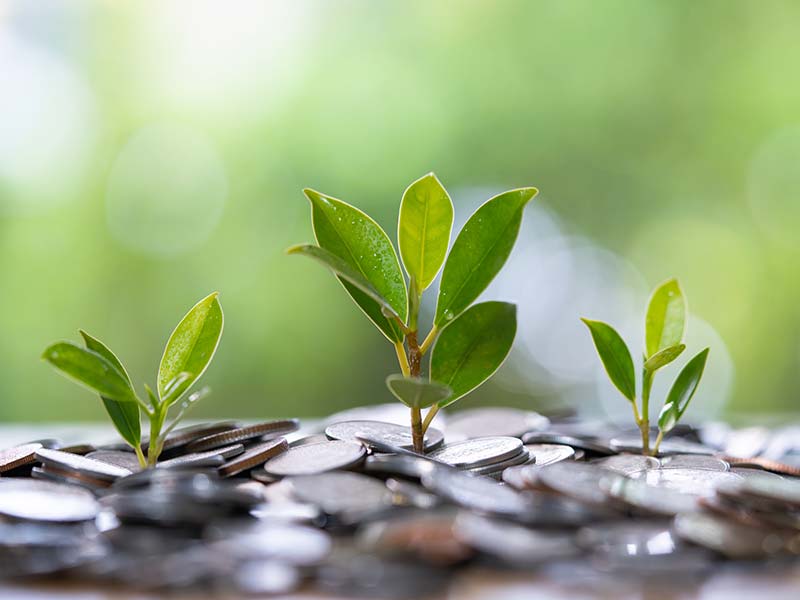 Plants sprouting from a pile of coins. 