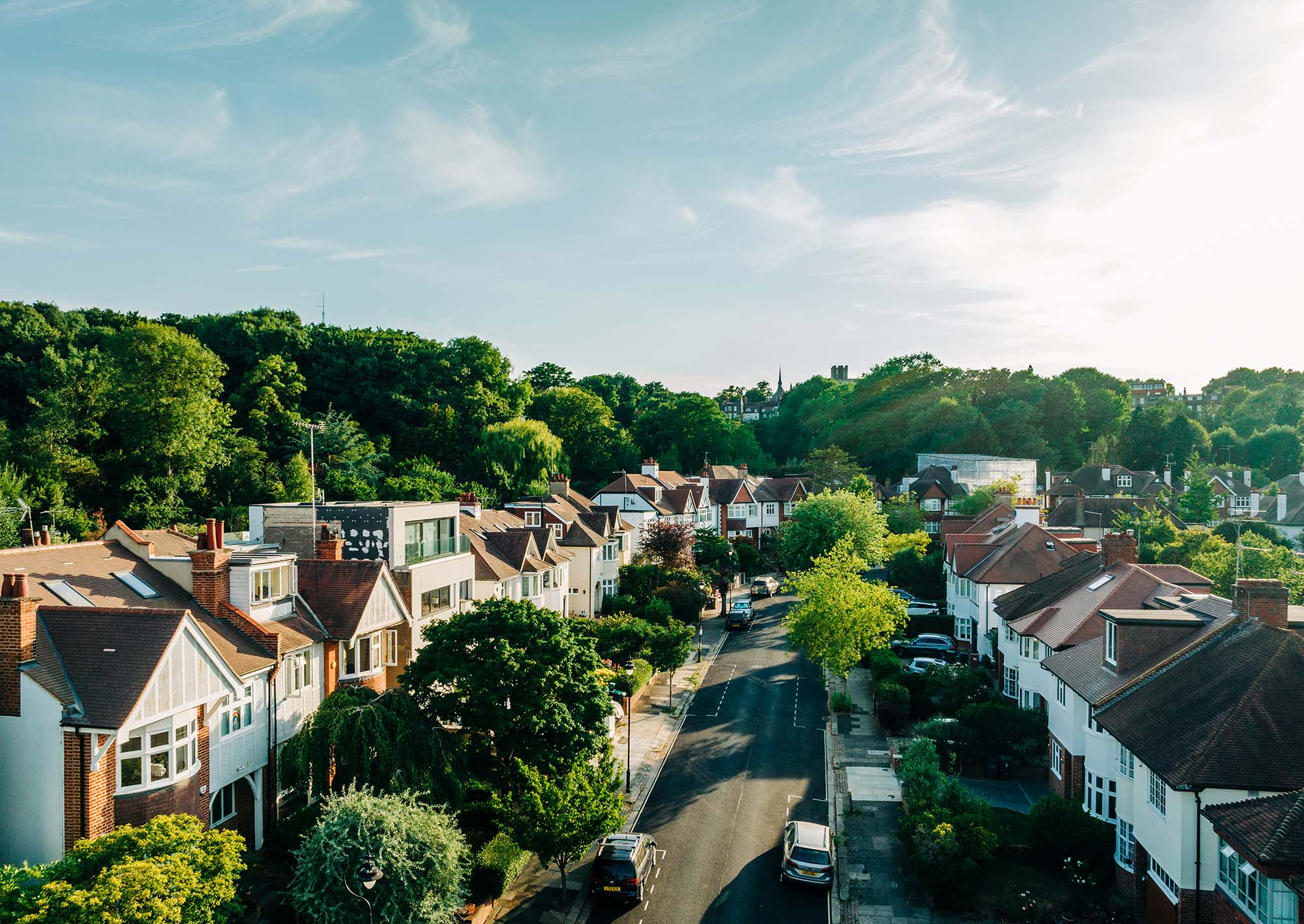 A street with a community of houses. 